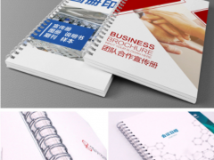 石家庄画册印刷 企业宣传册印制 折页图册设计
